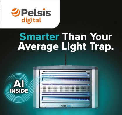 pelsis side